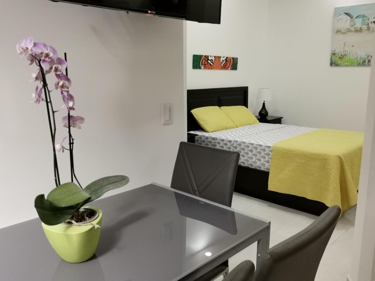 935 Lodge San Jose Buitenkant foto